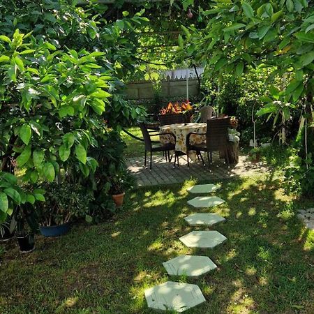 House Of Greenery Kutaisi Exterior foto